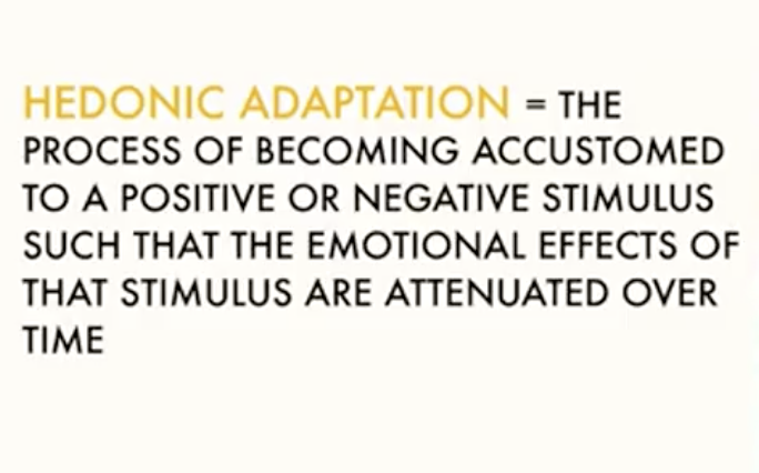 hedonic adaptation example